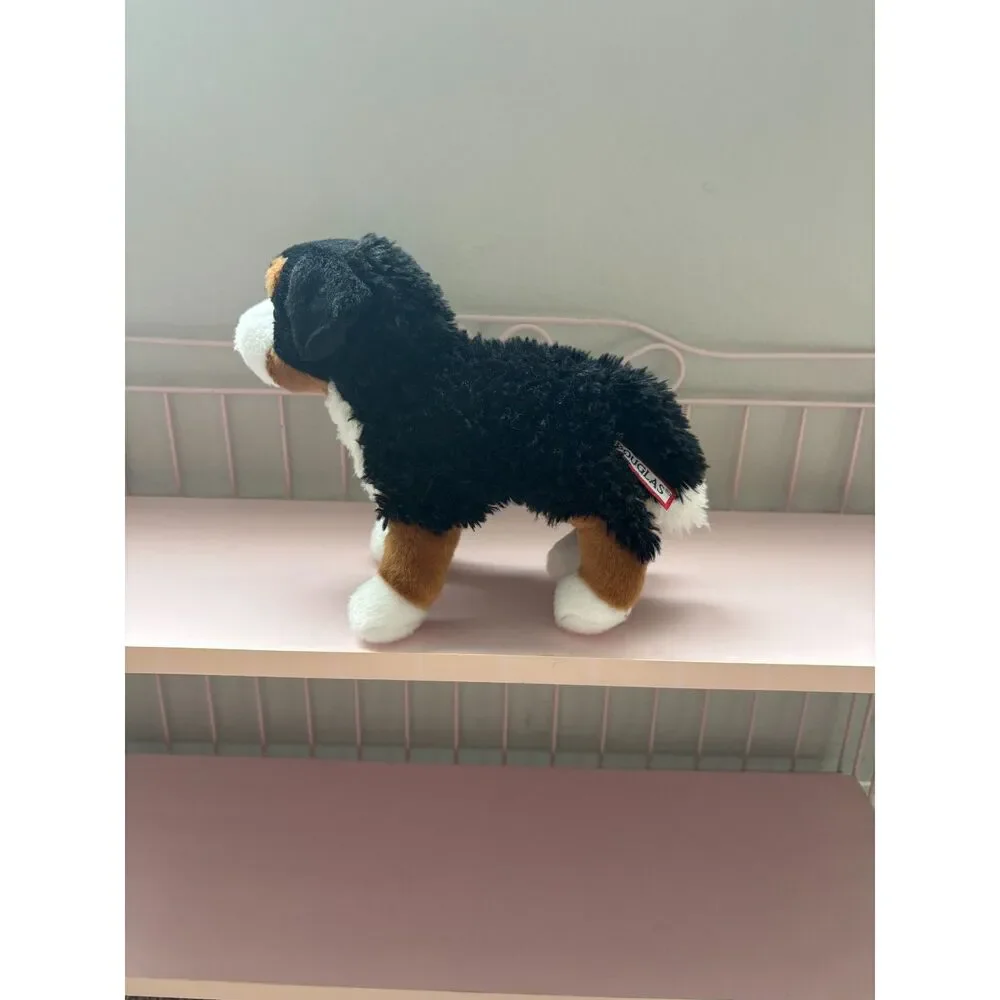 Douglas miranda bernese mountain dog